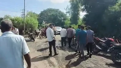 વડોદરાના વાઘોડિયા વિસ્તારમાં સ્ટ્રીટ લાઈટ રિપેર કરવાની કામગીરી દરમિયાન આજે એક ગંભીર દુર્ઘટના બની હતી. સિદ્ધિ ઇન્ડસ્ટ્રીયલ પાર્ક વિસ્તારમાં ત્રણ વીજકર્મી ઊંચી સીડી દ્વારા