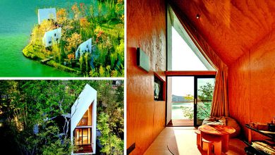 સ્થાપત્યનું વાઈ-ફાઈઃ ધ કૅબિન ઓફ સેઇલ્સ - ચીન