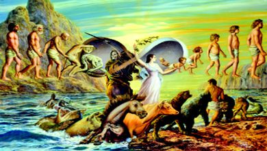 ક્યાંક વાંચેલું કે, સૂફી સંપ્રદાયમાં જણાવ્યું છે કે ઈશ્વર પોતાનાં હાથમાં પાંચ બાબતો રાખે છે - જન્મ, મૃત્યુ, સ્મરણ, વિસ્મરણ અને ન્યાય.