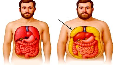 આહારથી આરોગ્ય સુધીઃ એક છુપાયેલી ફેટ