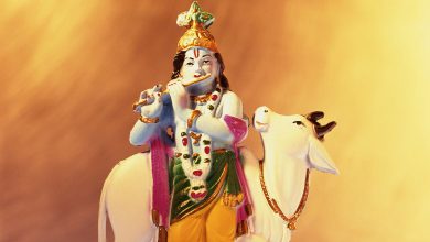 When is Gopashtami?: Know the rituals and significance of this special day of cow worship