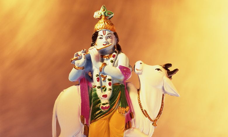 When is Gopashtami?: Know the rituals and significance of this special day of cow worship