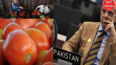 Tomato prices 'skyrocket' in Pakistan as trade with Afghanistan stalls, people suffer