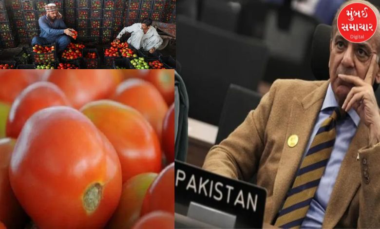 Tomato prices 'skyrocket' in Pakistan as trade with Afghanistan stalls, people suffer