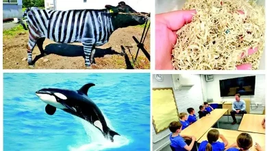 The strange and wonderful world of intervals