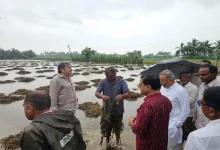 ગીર સોમનાથમાં કમોસમી વરસાદથી થયેલા નુકસાનનો તાગ મેળવતા મંત્રીઓ અર્જુન મોઢવાડિયા અને ડૉ. પ્રદ્યુમન વાજા ખેતરમાં