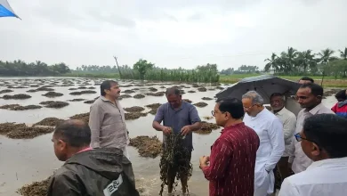 ગીર સોમનાથમાં કમોસમી વરસાદથી થયેલા નુકસાનનો તાગ મેળવતા મંત્રીઓ અર્જુન મોઢવાડિયા અને ડૉ. પ્રદ્યુમન વાજા ખેતરમાં