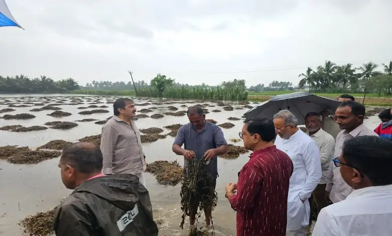 ગીર સોમનાથમાં કમોસમી વરસાદથી થયેલા નુકસાનનો તાગ મેળવતા મંત્રીઓ અર્જુન મોઢવાડિયા અને ડૉ. પ્રદ્યુમન વાજા ખેતરમાં