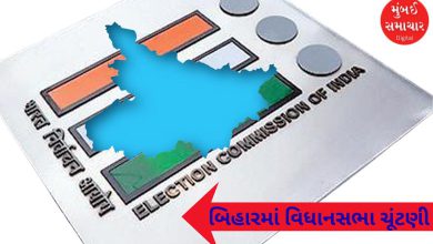 Election Commission gives new directions on assembly elections in Bihar, know in detail