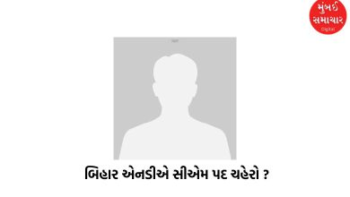 NDA will contest elections in Bihar without a CM face, Home Minister Amit Shah hints