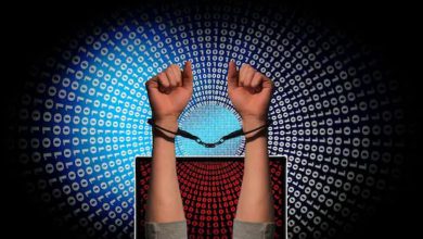 Gujarat woman arrested for extorting Rs. 11 crore through cyber fraud