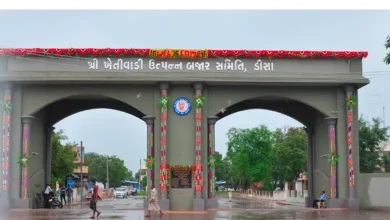 Disa APMC came to the aid of the family of a farmer who died in an accident, distributed cheques