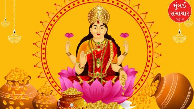 ધનતેરસની સાંજે કરો આ ખાસ ઉપાય, આખું વર્ષ થશે ધનવર્ષા, માતા લક્ષ્મીની કૃપા વરસશે...