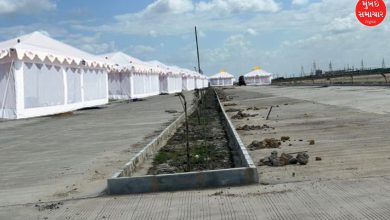Gujarat Tourism: Good news for tourists: 1600 new tents planned in Dhordo