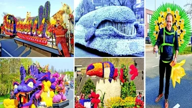 Take a look at the other side…: Four flowers in my braid…