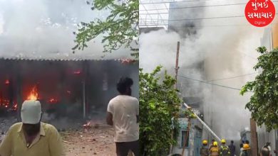 Fire breaks out at Lakshmi Ganpati cracker factory in Andhra Pradesh, 6 killed