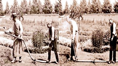 Flashback: Flour on the Coat: The Beginning of Smile in Cinema