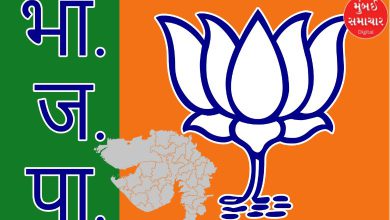 After BJP government in Gujarat, there is a possibility of changes in the organization as well.