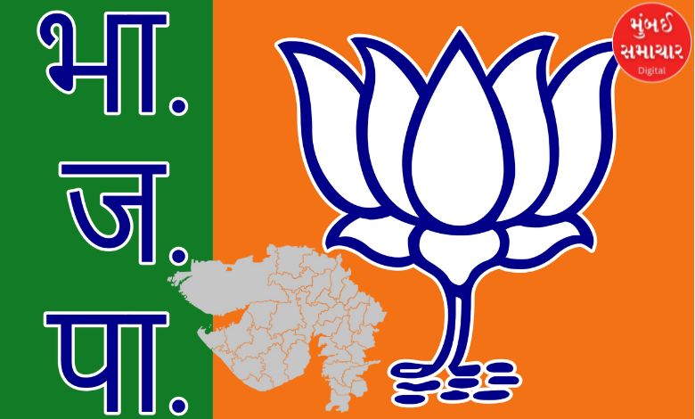 After BJP government in Gujarat, there is a possibility of changes in the organization as well.