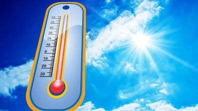 Rain forecast in these 4 districts of Gujarat in 4 days, heat increases in Ahmedabad