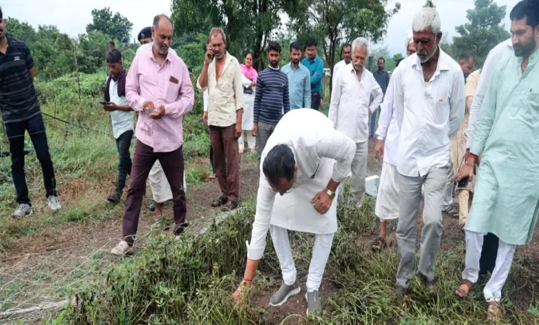 Ministers visit flood-hit areas: Cabinet likely to announce package