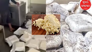 Health department takes action ahead of festivals in Ahmedabad, seizes large quantity of adulterated Mawa Paneer