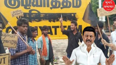 તમિલનાડુમાં હિન્દી ભાષા પર પ્રતિબંધની તૈયારી! ભાષા વિવાદની આગમાં ઘી હોમાશે