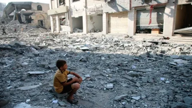 israel gaza war palestinian casualties