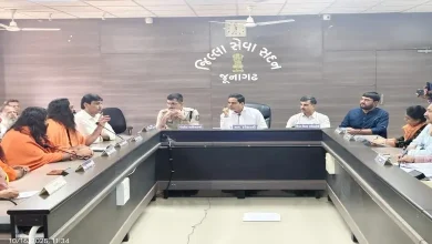 ગીરનારની લીલી પરિક્રમાની તૈયારીઓ માટે જૂનાગઢ કલેક્ટરે યોજી બેઠક, આ બાબતે આપી સૂચનાઓ