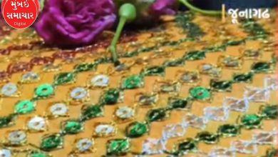 Devotees flock to Junagadh Dargah, shaking their chadars, causing traffic jams on the road