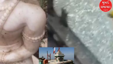 The 'priest' who broke the idol of Guru Gorakhnath temple in Girnar has been revealed: He had planned the 'scandal' to earn more money