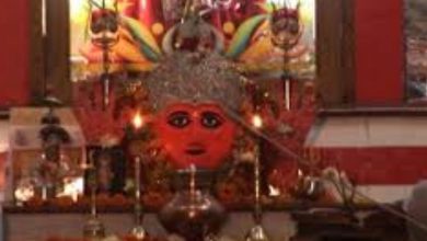 Lions came and sat quietly for hours during the Khodiyar Mata Yajna in Padaria village of Junagadh, locals called it a 'miracle'