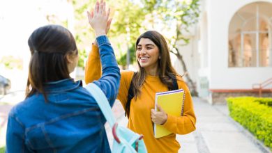 Computer, IT and EC occupy 72 percent of the engineering seats in Gujarat.