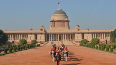 After creating a buzz in cinemas, this film will now be screened at Rashtrapati Bhavan, which film is it?