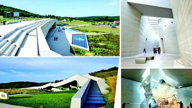 Architectural Wi-Fi: France's Lascaux Cave Exhibition