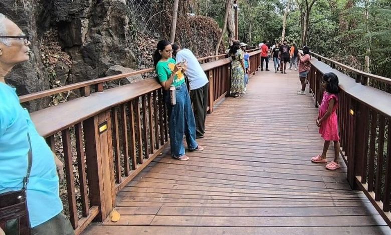 મલબાર હિલ નેચર ટ્રેલની ચાર મહિનામાં પોણા બે લાખથી વધુ પર્યટકોએ લીધી મુલાકાત