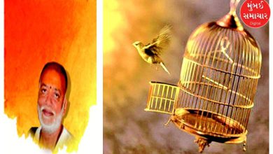 Manas Manthan: A true monk will enhance our dreams, not destroy them, so that we can live in awareness