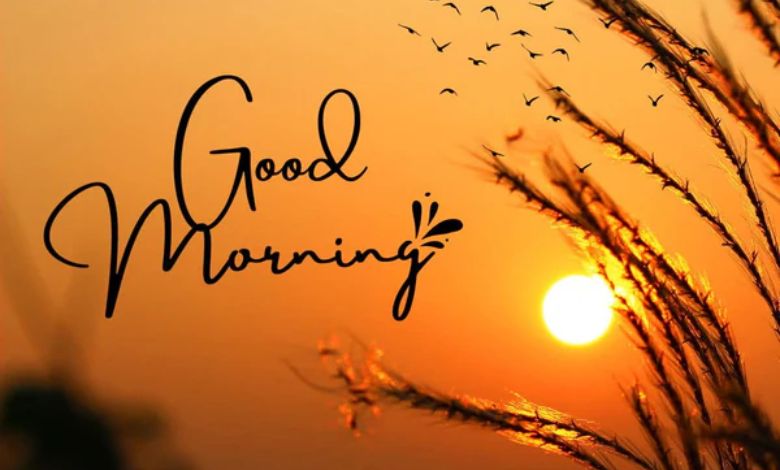 What can and cannot be eaten on an empty stomach in the morning?: Read this to clear up confusion