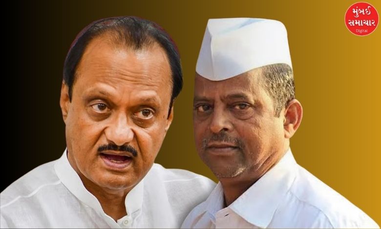 મંત્રી નરહરિ ઝીરવાલનું નિવેદન: જ્યાં સુધી અજિત પવાર ડેપ્યુટી સીએમ રહેશે, ત્યાં સુધી લાડકી બહિન યોજના બંધ નહીં થાય.