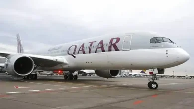 Doha-Hong Kong flight makes emergency landing in Ahmedabad, administration officials lose lives