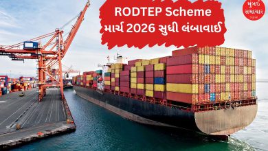 આરઓડીટીઈપી સ્કીમ લંબાવાતા ખુશ નિકાસકારો