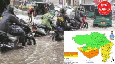 સૌરાષ્ટ્ર-કચ્છમાં અતિભારે વરસાદની આગાહી; 20 જિલ્લામાં એલર્ટ