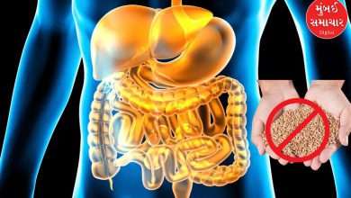 If you see these 4 problems in your body, stop consuming wheat: You will get effective results in 21 days