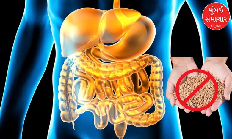 If you see these 4 problems in your body, stop consuming wheat: You will get effective results in 21 days