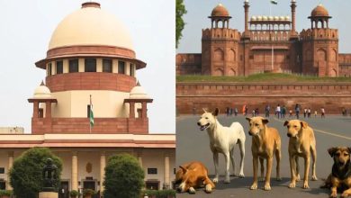 Chief Secretaries of all states summoned to appear! Supreme Court takes a strict stand on stray dog ​​issue