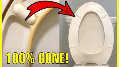 ટૉઇલેટ સીટ પીળી પડી ગઈ છે? ડાઘ દૂર કરવા આ 3 વસ્તુઓનો કરો ઉપયોગ, થઈ જશે ચકાચક