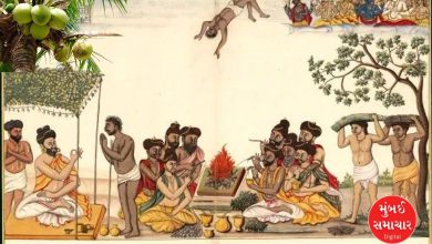 From the ascension of Trishanku to today's Havan: Know the complete history and spiritual glory of coconut