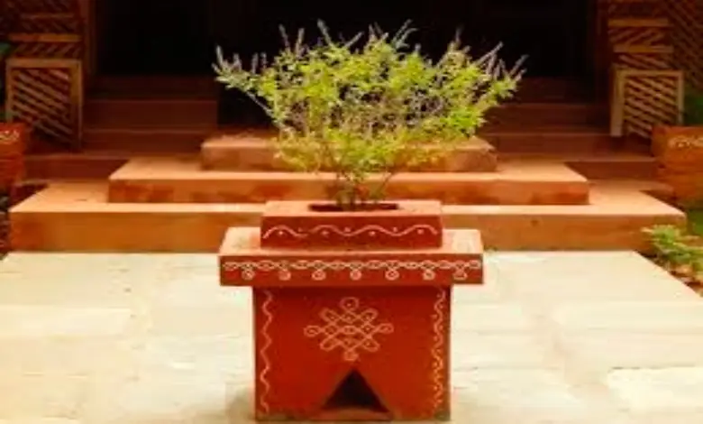 Not only lamps on Diwali, this plant will also brighten your luck