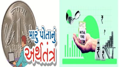 ROI એટલે માત્ર રિટર્ન ઑન ઇન્વેસ્ટમેન્ટ નહીં, રિસ્ક ઑન ઇન્વેસ્ટમેન્ટ પણ હોય છે