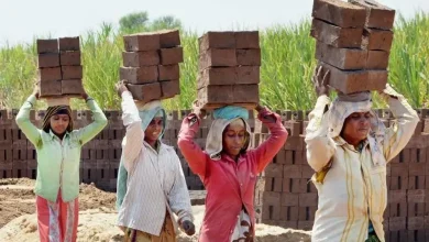 ગુજરાતના બાંધકામ ક્ષેત્રે ઓટોમેશનના કારણે મહિલા કામદારોની સંખ્યામાં ૮૦ ટકાનો ઘટાડો.